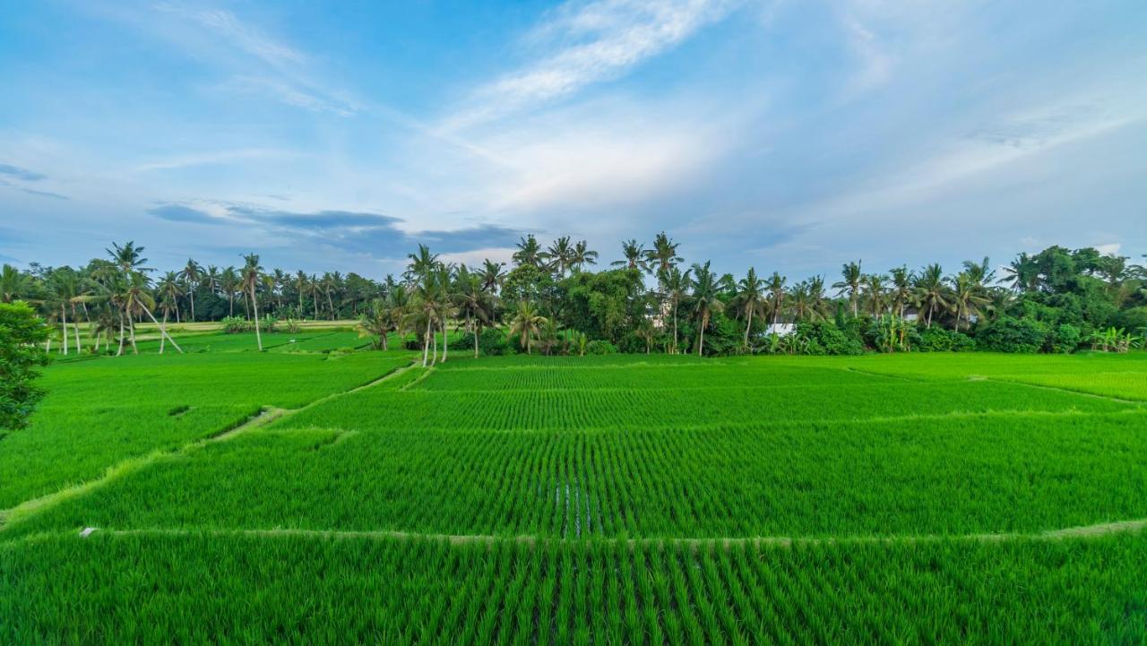 Maruan Sari Apartment Ubud  Exterior photo